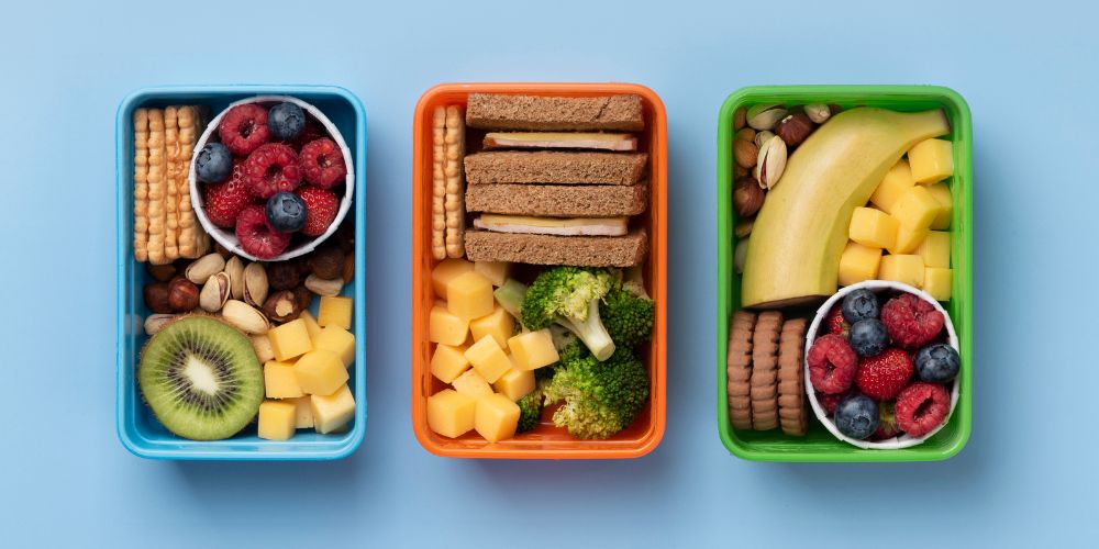 RE Series Containers - Storage for a Greener Future