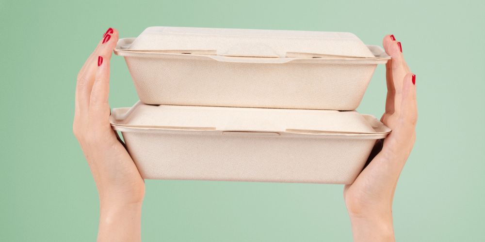  Choosing Right Food Container Box for Your Needs