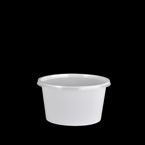 Natraj Plastic Containers - 500Gram