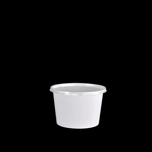 Natraj Plastic Containers - 500ml