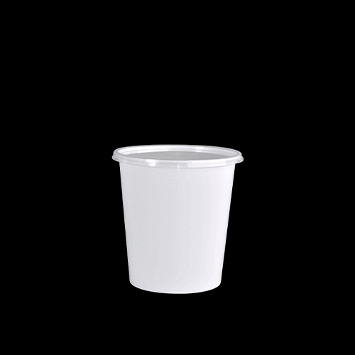 Natraj Plastic Containers - 750ml